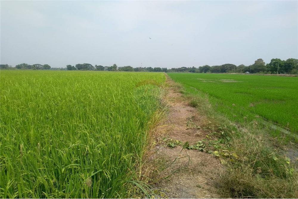 ขายที่ดินปทุมธานี - บ้านมือสองขายหรือให้เช่า